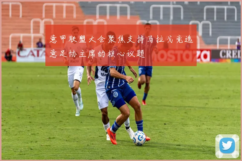 意甲联盟大会聚焦支持马拉戈竞选意足协主席的核心议题